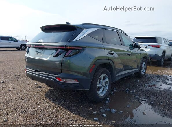 5NMJBCAE0PH187549 2023 HYUNDAI TUCSON Gray უკანა მარჯვენა