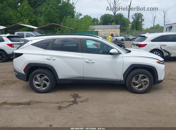 5NMJBCAE3PH197847 2023 HYUNDAI TUCSON White Rear interior view