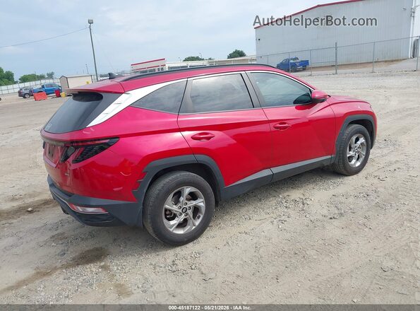 5NMJBCAE4PH263953 2023 HYUNDAI TUCSON Red Հետևի աջ