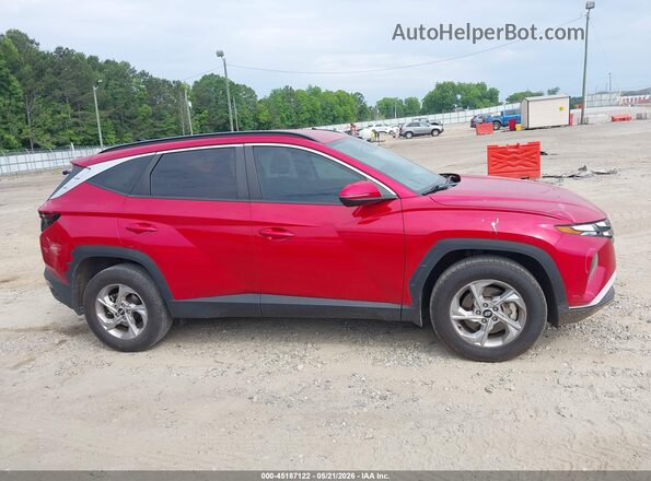 5NMJBCAE4PH263953 2023 HYUNDAI TUCSON Red Սալոնի հետևի տեսք