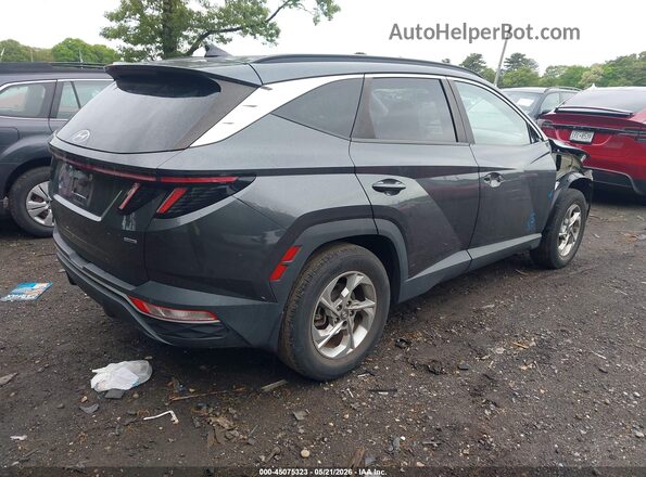 5NMJBCAE8NH032566 2022 HYUNDAI TUCSON Gray Tył prawy