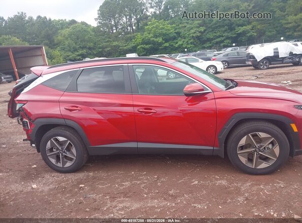 5NMJC3DE0SH503856 2025 HYUNDAI TUCSON Red Սալոնի հետևի տեսք