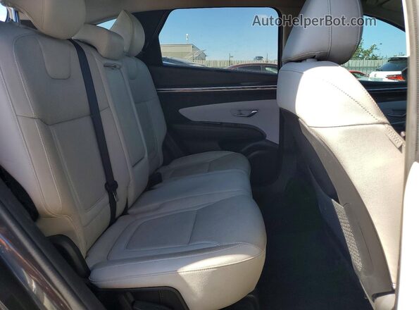 5NMJE3AE3PH170946 2023 HYUNDAI TUCSON Черный 