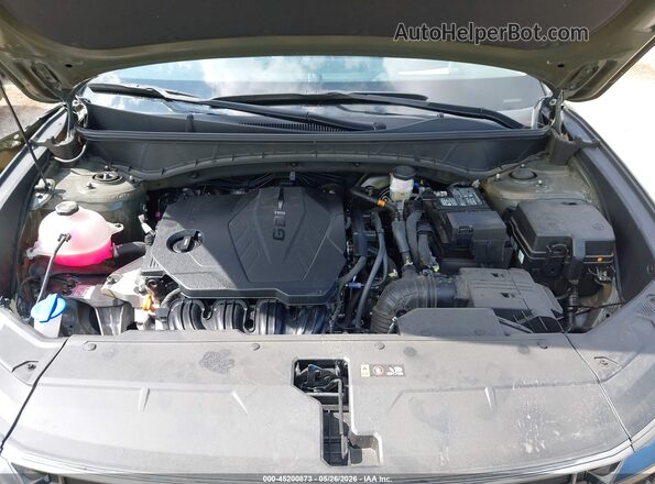 5NMJE3DEXSH580051 2025 HYUNDAI TUCSON Green Widok z tyłu