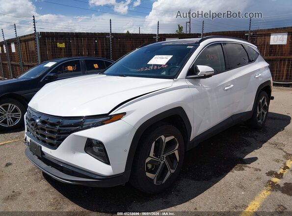 5NMJECAE1PH235373 2023 HYUNDAI TUCSON White Przód lewy