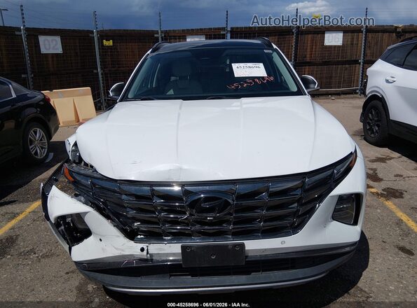5NMJECAE1PH235373 2023 HYUNDAI TUCSON White Widok wnętrza z tyłu