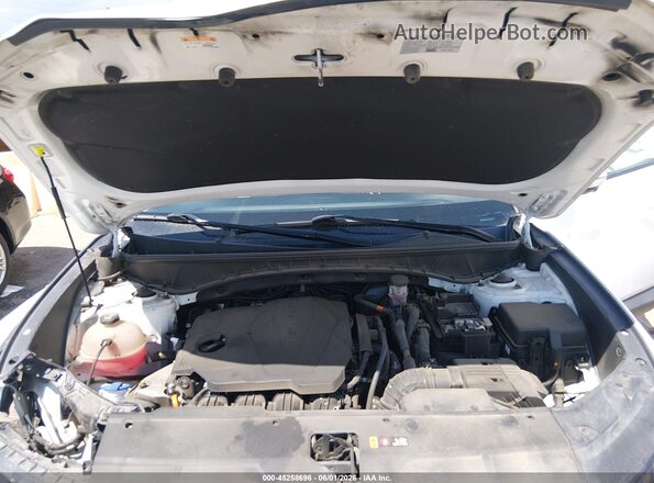 5NMJECAE1PH235373 2023 HYUNDAI TUCSON White Widok z tyłu