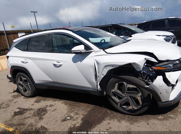 5NMJECAE1PH235373 2023 HYUNDAI TUCSON White Widok wnętrza 360 stopni