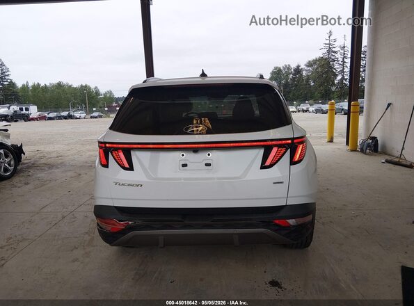 5NMJECAE7PH259869 2023 HYUNDAI TUCSON White 