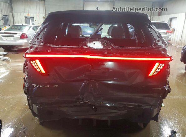 5NMJECDE0SH463840 2025 HYUNDAI TUCSON Серый Вид сзади