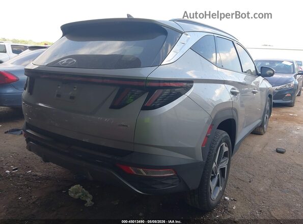 5NMJECDE2RH343340 2024 HYUNDAI TUCSON Gray Հետևի աջ