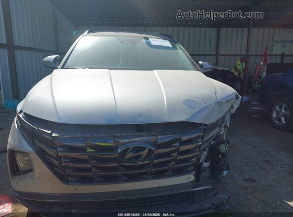 5NMJECDE2RH343340 2024 HYUNDAI TUCSON Gray Սալոնի հետևի տեսք