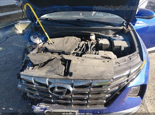 5NMJECDE7RH338134 2024 HYUNDAI TUCSON Синий Вид сзади