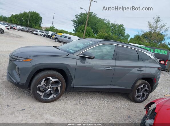 5NMJECDE9RH311467 2024 HYUNDAI TUCSON Gray Панорамний вид салону 360°