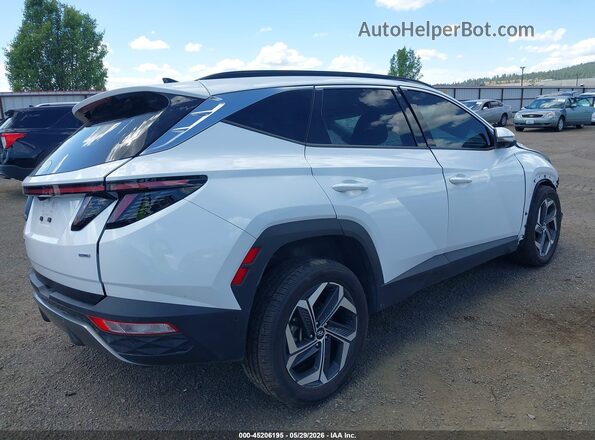 5NMJECDEXRH319237 2024 HYUNDAI TUCSON White 