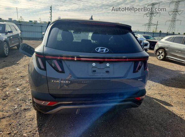 5NMJECDEXRH375193 2024 HYUNDAI TUCSON Gray 