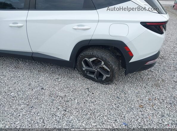 5NMJF3AE1NH115955 2022 HYUNDAI TUCSON White 