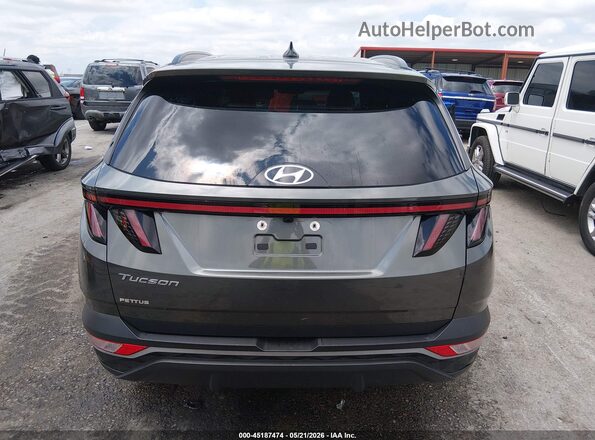 5NMJF3AE2PH260442 2023 HYUNDAI TUCSON Gray 