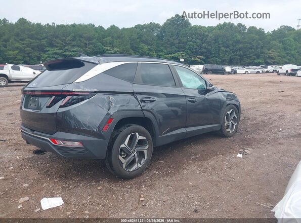 5NMJF3AE9PH278923 2023 HYUNDAI TUCSON Gray Tył prawy