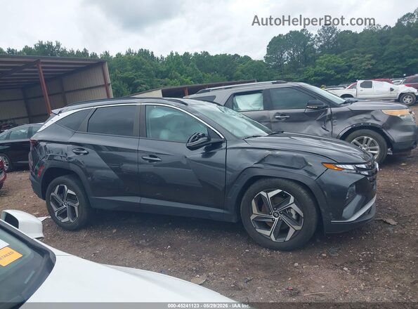 5NMJF3AE9PH278923 2023 HYUNDAI TUCSON Gray Widok wnętrza z tyłu