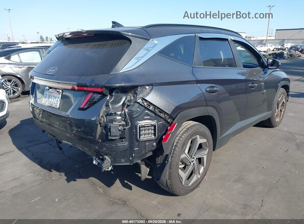 5NMJF3DEXRH332714 2024 HYUNDAI TUCSON Серый 