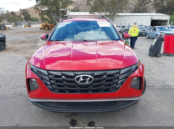 5NMJFCAE0PH220666 2023 HYUNDAI TUCSON Red 