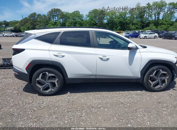 5NMJFCAE3PH256464 2023 HYUNDAI TUCSON White Rear interior view