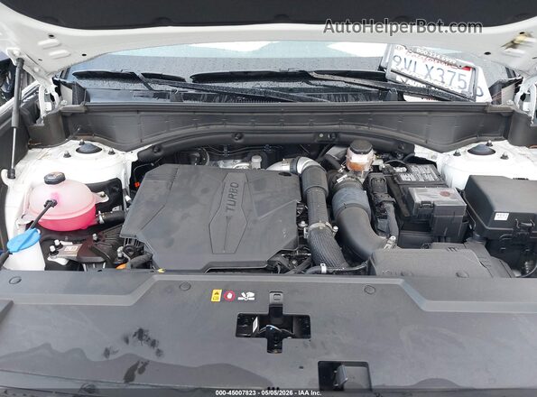 5NMP24GL0SH121310 2025 HYUNDAI SANTA FE White Հետևի տեսք