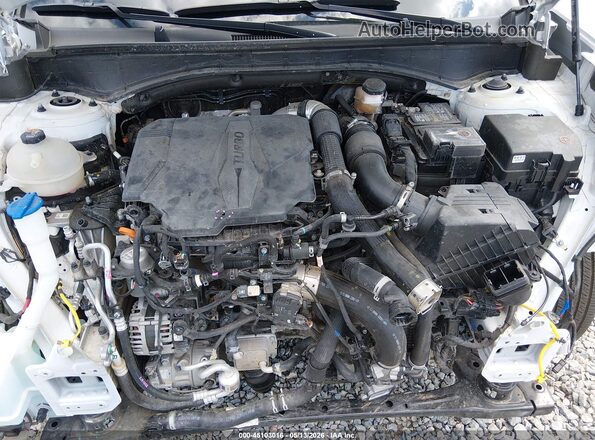 5NMP24GL9RH004559 2024 HYUNDAI SANTA FE White Rear view