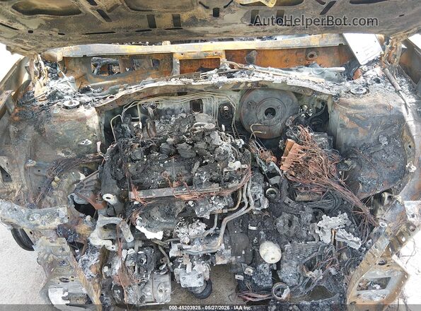 5NMP2DGL3RH015864 2024 HYUNDAI SANTA FE Зеленый Вид сзади