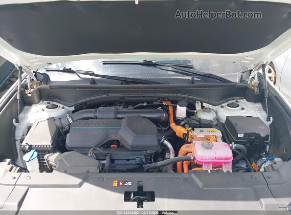 5NMP3DG16RH004630 2024 HYUNDAI SANTA FE HYBRID White უკანა ხედი