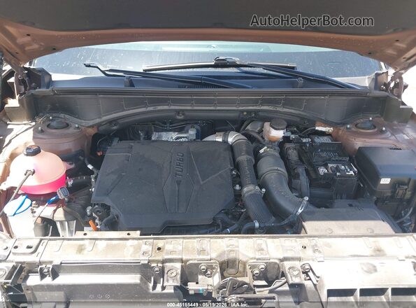 5NMP3DGL0RH004446 2024 HYUNDAI SANTA FE Brown Հետևի տեսք