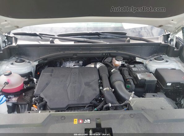 5NMP3DGL6RH051528 2024 HYUNDAI SANTA FE Silver Հետևի տեսք