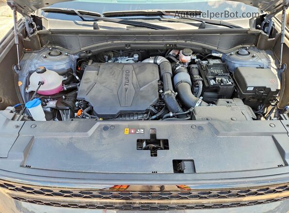 5NMP54GL1SH113997 2025 HYUNDAI SANTA Угольный 