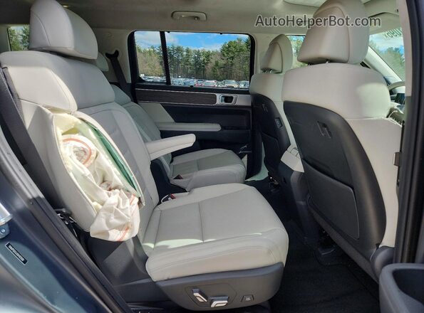 5NMP5DGL0SH122500 2025 HYUNDAI SANTA FE CALLIGRAPHY Серый Вид задней части салона