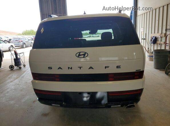 5NMP5DGL8RH027239 2024 HYUNDAI SANTA White Widok z tyłu