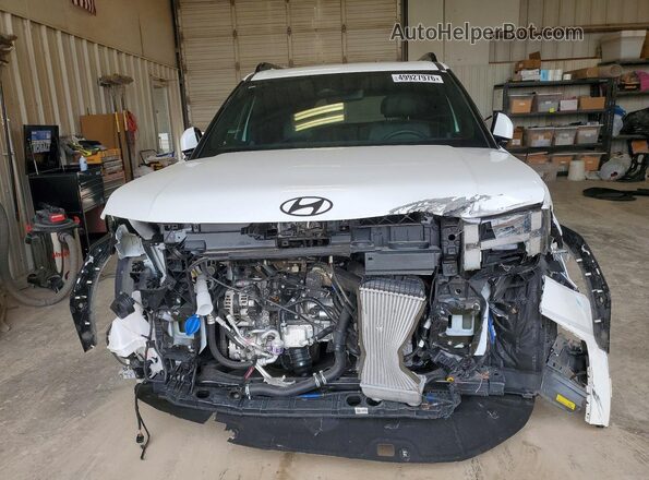 5NMP5DGL8RH027239 2024 HYUNDAI SANTA White Widok z przodu