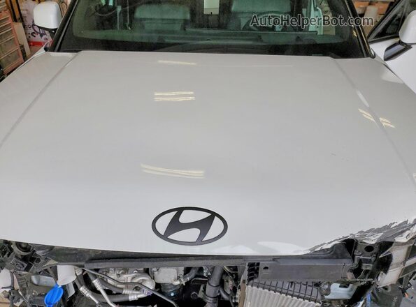 5NMP5DGL8RH027239 2024 HYUNDAI SANTA White Widok komory silnika