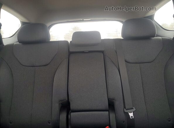5NMS23AD8LH165501 2020 HYUNDAI SANTA Red Rear seats view