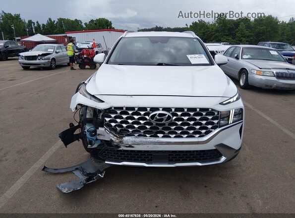 5NMS24AJ1NH434923 2022 HYUNDAI SANTA FE White Widok wnętrza z tyłu
