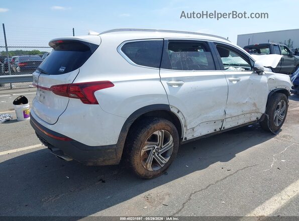 5NMS24AJ7PH544958 2023 HYUNDAI SANTA FE White Tył prawy