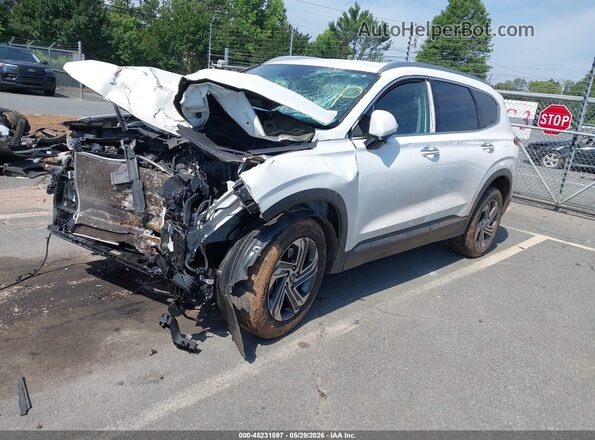 5NMS24AJ7PH544958 2023 HYUNDAI SANTA FE White Przód lewy