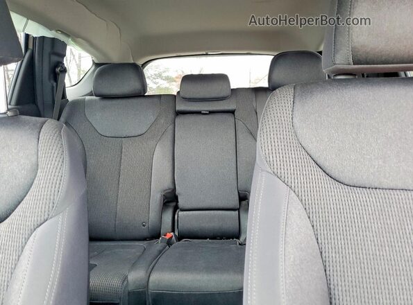 5NMS2CAD2KH013941 2019 HYUNDAI SANTA Tan Вид задніх сидінь