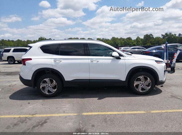 5NMS2DAJ9PH568260 2023 HYUNDAI SANTA FE Белый 