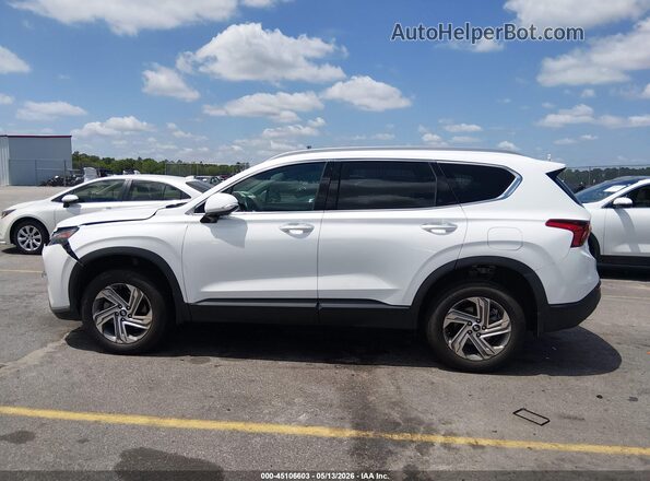 5NMS2DAJ9PH568260 2023 HYUNDAI SANTA FE Белый 