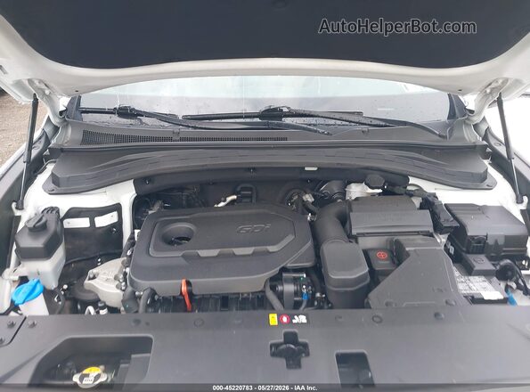 5NMS3CAD1LH181262 2020 HYUNDAI SANTA FE White Widok z tyłu
