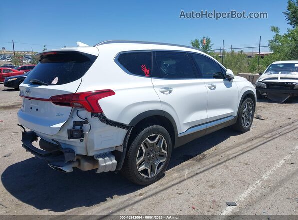 5NMS44AL4PH628991 2023 HYUNDAI SANTA FE White უკანა მარჯვენა