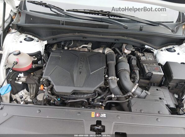 5NMS4DAL1PH485479 2023 HYUNDAI SANTA FE Белый Вид сзади