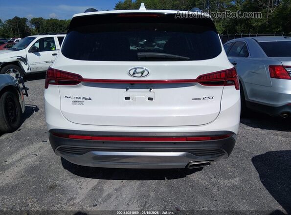 5NMS4DAL1PH485479 2023 HYUNDAI SANTA FE Белый 