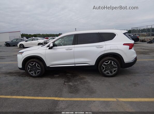5NMS4DAL1PH485479 2023 HYUNDAI SANTA FE Белый Панорамный вид салона 360°